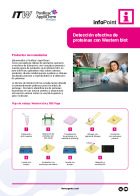 IP-068 - Detección eficaz de proteínas con Western blot